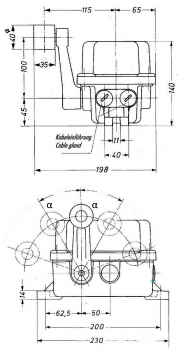 DUK Lever limit switch/end switch LHPE-10/1-R