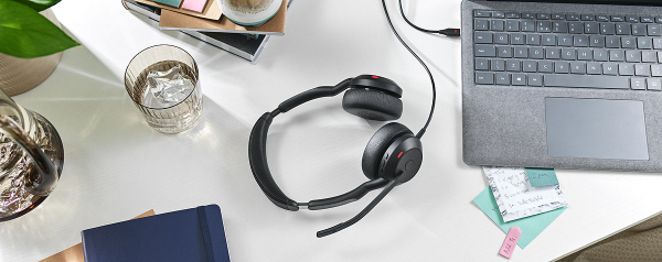 Jabra Evolve2 50 USB-C MS Duo 25089-999-899
